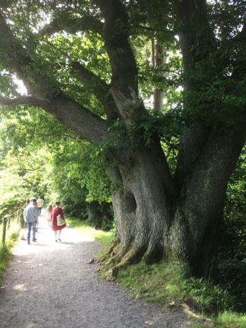 Hébergement de vacances Crotlieve Barn Rostrevor